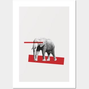 elephant behind bars Posters and Art